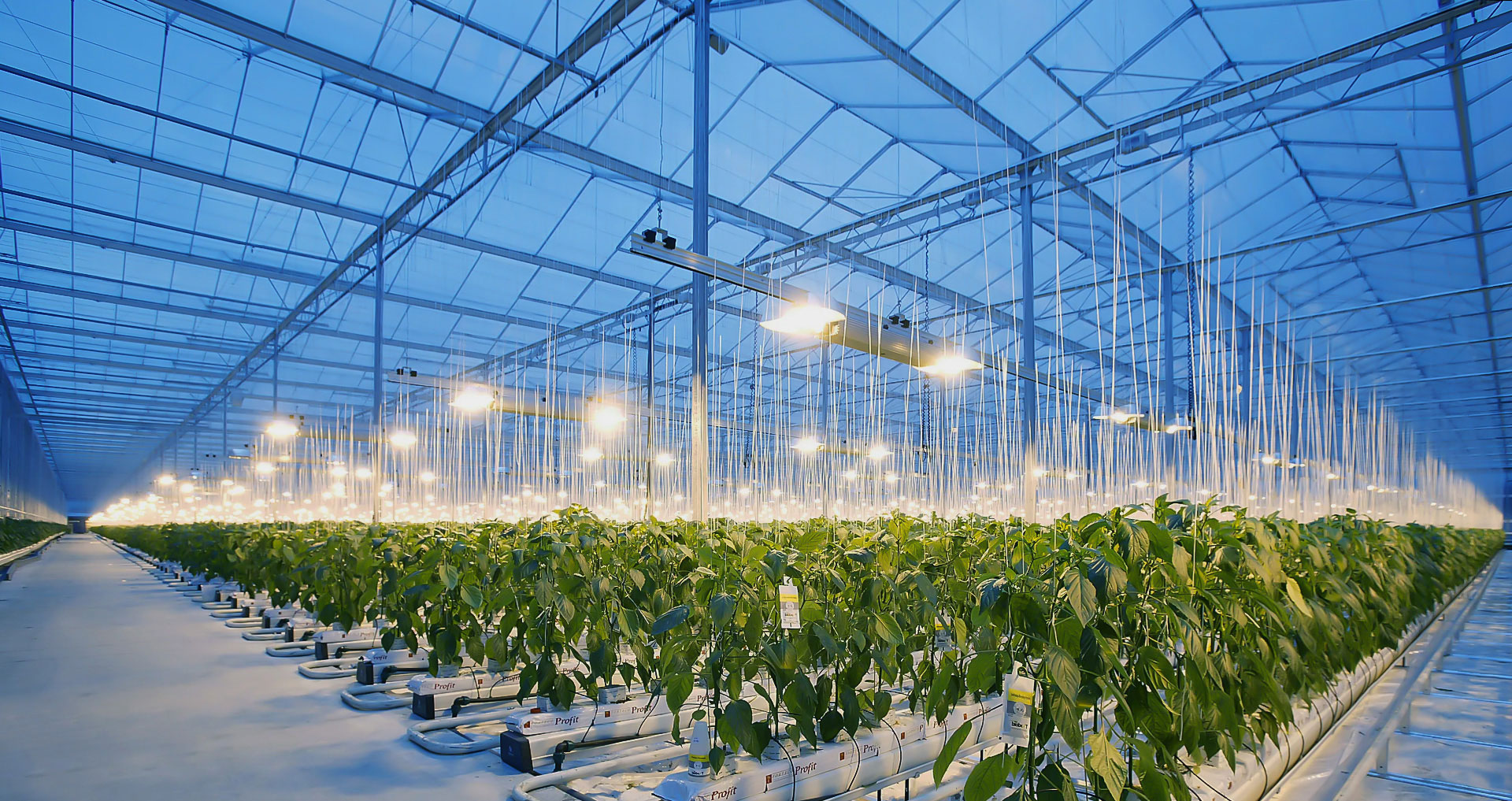 Agricultural Industry Fabric