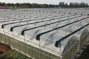 GreenHouse