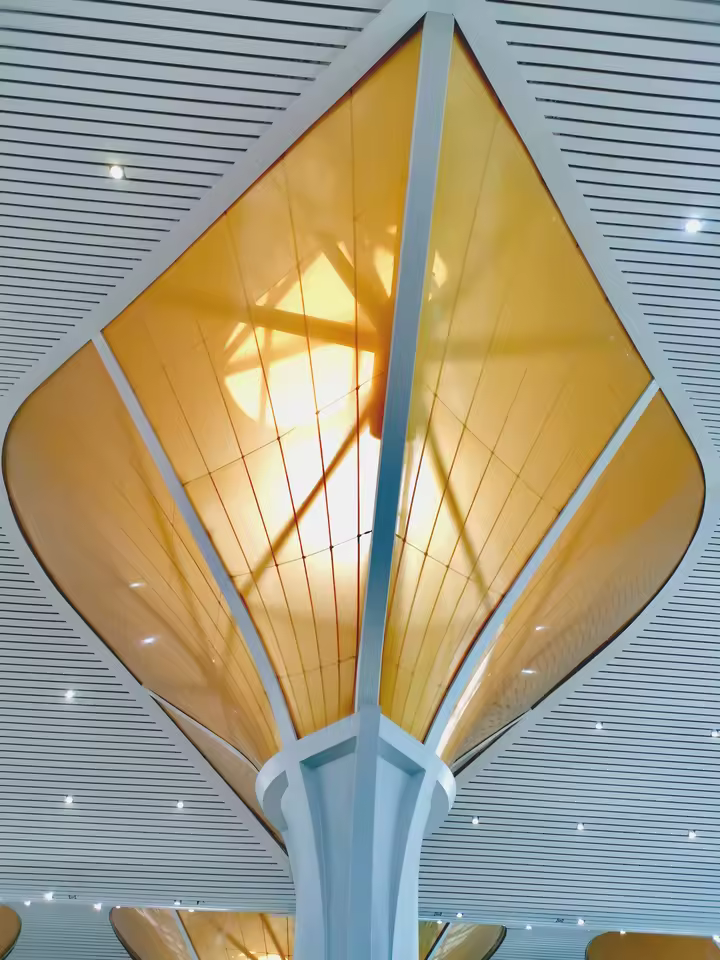 Modern Stadium Membrane Structure with ETFE Roof Canopy for Sports Arena Gym Airport Commercial Buildings